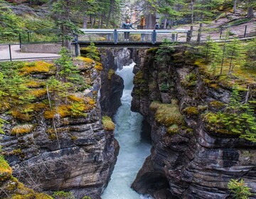 Maligne Canyon : Merveille naturelle des Rocheuses au cœur de Jasper