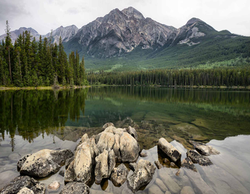 Parc national Jasper – Le cœur sauvage des Rocheuses canadiennes