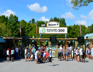 Toronto Zoo : Un tour du monde animalier sans quitter le Canada !