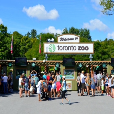 Toronto Zoo : Un tour du monde animalier sans quitter le Canada !